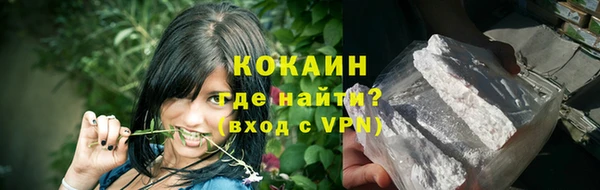 дмт Бородино