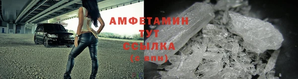 дмт Бородино