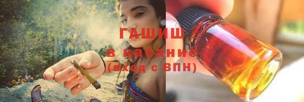 дмт Бородино