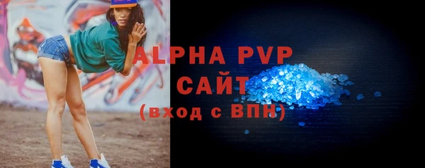 дмт Бородино