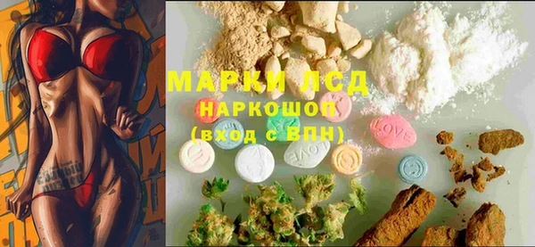 дмт Бородино