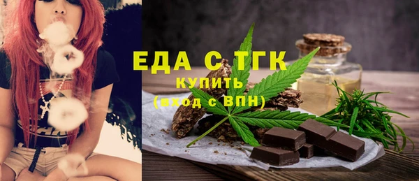 дмт Бородино