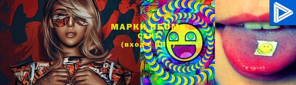 дмт Бородино